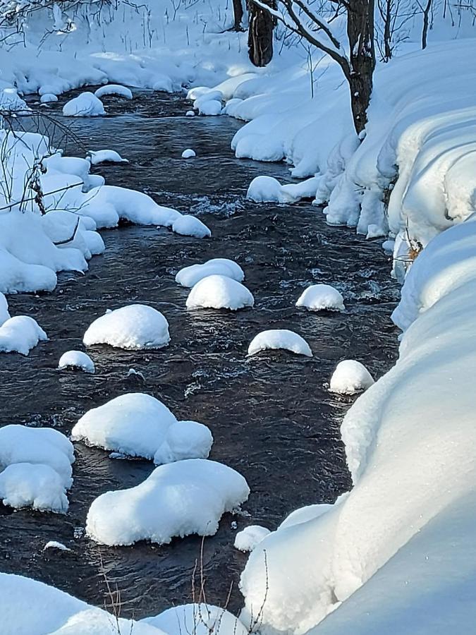 Domek Nad Potokiem Stronie Śląskie Buitenkant foto